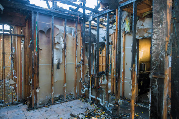 Professional Fire Damage Removal technician working in Frederick, MD