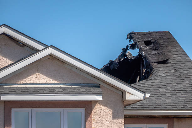 Top rated local Fire Damage Removal specialists in Frederick, MD